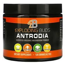 Check spelling or type a new query. Hu Gems Snacking Baking Dark Chocolate 9 Oz 255 G Iherb