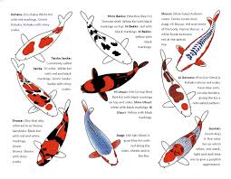 downloadable koi chart page 2 in 2019 koi fish drawing