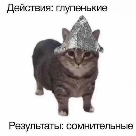 Funny Russian meme showing cat in tinfoil hat with text действия глупенькие результаты сомнительные mocking futile conspiracy theories.

