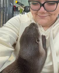 Mariah Ford (@mrsmariahford) • Instagram photos and videos