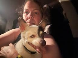 Someone hit My poor little baby and just left her it in the middle of the  road you could have moved her and called the phone number