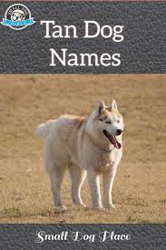 Black And Brown Dog Names Tan Dog Names In 2020 Dog Names Best Dog Names Dogs