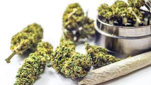 Weed’s Impact on Canadian Art and Culture