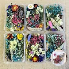 4 drying of flowers and blossoms. 1 Box Mix Beautiful Real Dried Flowers Natural Floral For Art Craft Scrapbooking Resin Jewelry Craft Making Epoxy Mold Filling Wish