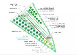 Creer Un Verger Familial Verger Arbre Fruitier Taille Des Arbres