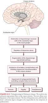 Maybe you would like to learn more about one of these? Parkinson S Disease