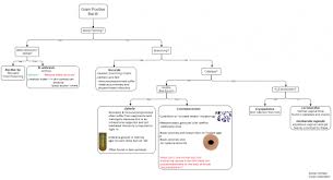 Microbiology Gram Positive Cocci Flow Chart Staphylococcus