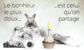 C'est tellement simple d'adresser des cartes d'anniversaire de mariage avec cybercartes. Cartes Anniversaire De Mariage Gratuites Cybercartes Com