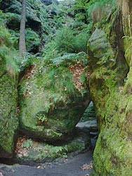 Seitenschlucht der sächsischen schweiz (de); Schwedenlocher Wanderung Durch Eine Felsenschlucht Sachsische Schweiz Elbsandsteingebirge