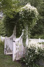 You Searched For Sweet Autumn Clematis Bumblebee Blog Garden Gates Dream Garden White Gardens