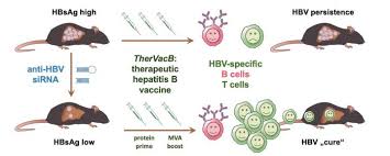 Sep 28, 2018 · what is hepatitis b? Eurekalert Science News Releases