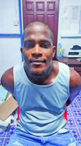 Mastermind, gunman in Lusignan Chinese supermarket robbery arrested