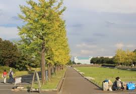 公園で独特の臭いが ひこじいさんのブログ 楽天ブログ