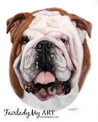 Fairlady My Art Portrait Pastel Dessin Chien Bouledogue Anglais Dessin Chien Chien Bouledogue Bouledogue Anglais