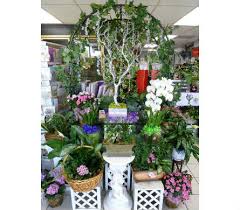 Check spelling or type a new query. About A Secret Garden Florist Huntington Beach Ca Florist