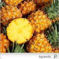 Il possède toute une panoplie d'effets bénéfiques sur la santé. L Ananas Fruit Exotique Aux Vertus Nutritionnelles