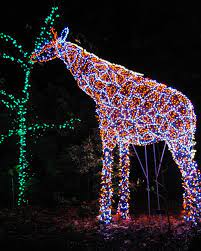 Holiday Light Shows At Botanical Gardens Hgtv Christmas Light Displays Giraffe Christmas In America