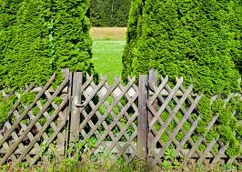 Un proyecto muy fácil de hacer y sería ideal para hacerlos con los más pequeños de la casa. Easy Jardin