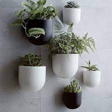 ceramic wallscape planters love these from west elm mix and match on one wall or in different rooms of the house use them on the patio 鉢植え グリーン インテリアガーデン