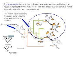 Investigating The Evolutionary History Of Life Ppt Video