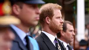 İngiltere'de mahkeme noktayı koydu: Prens Harry'yi polis korumayacak