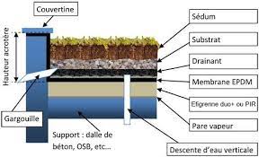 Composition Toiture Plate Vegetalisee Etancheite Toit Plat Toiture Toiture Vegetalisee