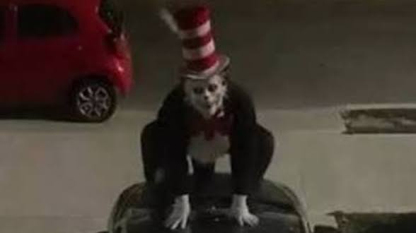 Kentucky minor facing charges over 'Cat in the Hat' trend - WLKY