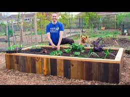 How To Build A Raised Bed Using Pallets Free Backyard Gardening Youtube Above Ground Garden Raised Garden Beds Diy Backyard Garden