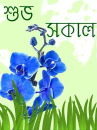 Powerful images to boost your project. 2021 Good Morning Images In Bengali Subho Sokal Pic Bangla Photo