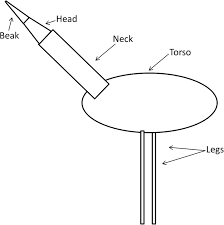 The forebrain, midbrain, and hindbrain. Diagram Of The Shapes Used To Model Whooping Crane Body Parts Body Download Scientific Diagram