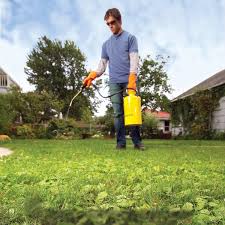 How To Get Rid Of Weeds In Lawn 6 Tactics The Family