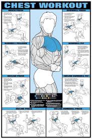 chest workout professional fitness instructional wall chart