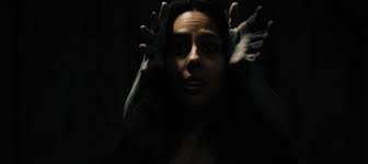 Hey everyone, Wanted to share this experimental, analog horror, short film  we made with no budget. The full film, 136 Old Hollow Way, is