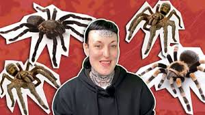 Can finally say i'm almost 100% happy with my tarantula. Tarantula Youtube Videos Help Woman Beat Fear Of Spiders Bbc News