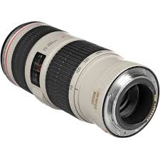Canon 70 300 F 4 5 6 L Is Usm Review Pin On Lenses Reviews