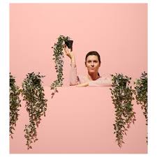 We did not find results for: Fejka Artificial Potted Plant Indoor Outdoor Hanging Ikea