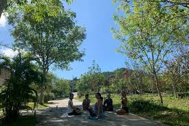 Check spelling or type a new query. 20 Best Yoga Retreats Chiang Mai 2021 Chiang Mai Yoga Retreat Bookretreats