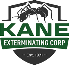 At key west, we guarantee a superior service, for less. Termite Extermination Termite Control Kings Park Ny