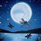 Lunar Reflections