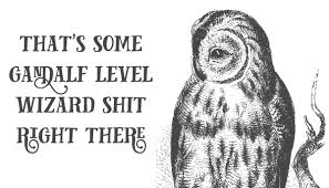 Bird Bird Bird Bird Is The Word Timbaland The Story Behind The Foul Mouthed Effin Birds Twitter Account Effin What S So Funny Bird Quotes