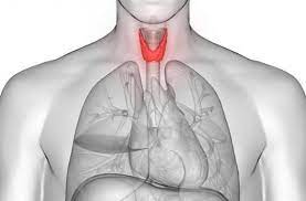 En mars dernier, une nouvelle formule du levothyrox a été mise sur le marché. Levothyrox Un Chercheur Aurait Trouve L Origine Des Effets Secondaires Indesirables