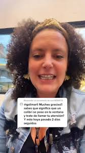 Significado de ver un colibrí en la ventana