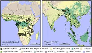 Shortcuts, average waiting time, support service details and customer service open hours are included. Frontiers Human Elephant Conflict A Review Of Current Management Strategies And Future Directions Ecology And Evolution