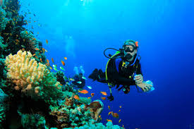 Catalina Scuba Diving Marianasport