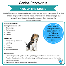 Parvo Warning September 2019 New Plymouth Vet Group