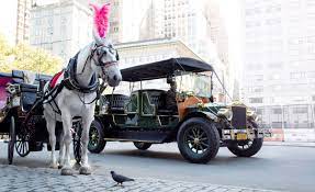 Oh what fun it is to see a carriage drawn by a horse even after all these years you can find them still, of course. Can An Ev Really Replace Central Park S Horse Drawn Carriages