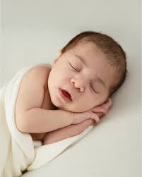 Purple Willow Photography