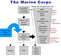 Marine Corps Ranks Marine Corps Structure Of Ranks