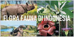 Image result for keragaman flora & fauna