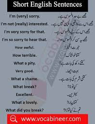 1000 English Sentences In Urdu 1500 English Sentences In Hindi Pdf Often Used English Learn English Words English Phrases Sentences English Vocabulary Words